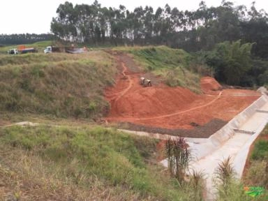 Imagem Grama mato grosso Imagem Grama mato grosso