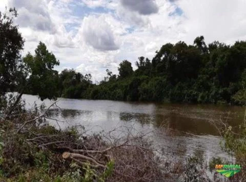 Fazenda Rio Bonito (Caseara-TO)