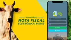 Emissão de Notas Fiscais Eletrônicas/ NF-e AGRO