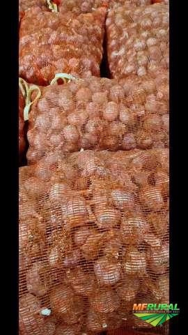 Pacotes de Alho Tipo 3 - 10kg Imagem Pacotes de Alho Tipo 3 - 10kg