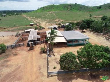 Assessoria Rural em Rondonia