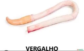 Compro Vergalho e Sebo