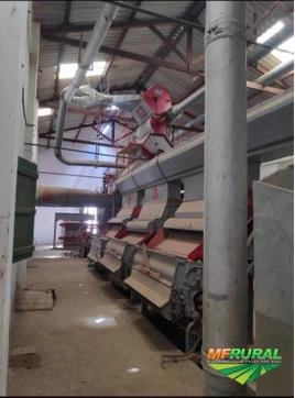 Imagem Beneficiamento de Algodão: Descaroçadeiras, Prensas e Deslintadeiras Imagem Beneficiamento de Algodão: Descaroçadeiras, Prensas e Deslintadeiras