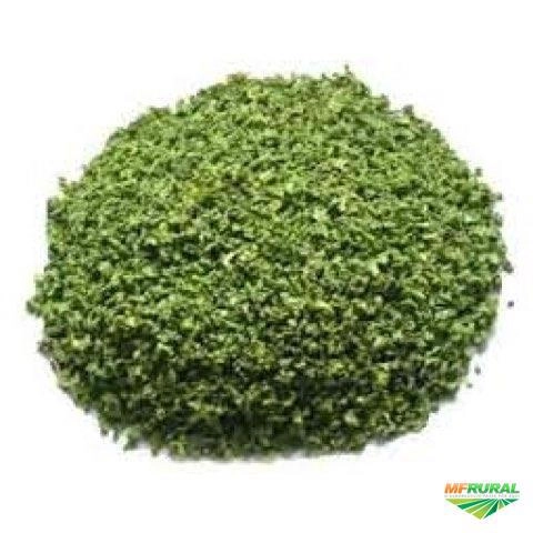 Salsa desidratada Imagem Salsa desidratada