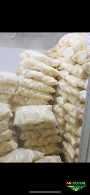 Mandioca descascada Imagem Mandioca descascada