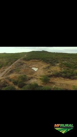 Piçarra Imagem Piçarra