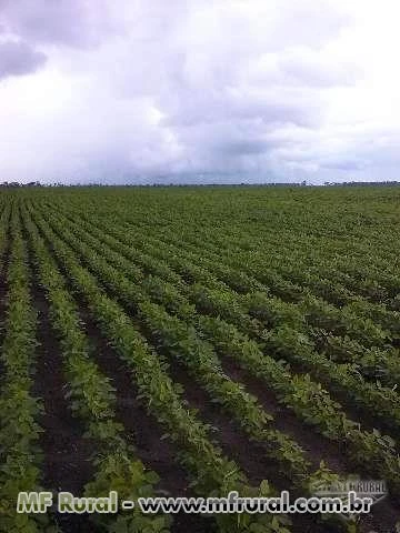 Venda de Fazenda de Soja