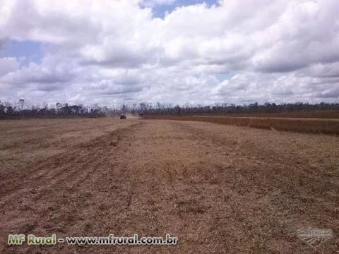 Venda de Fazenda de Soja