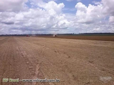 Venda de Fazenda de Soja