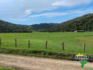 Fazenda na região de Rio do Campo- SC com área de 560 hectares é na Fazendas Brasil!!