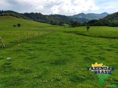 Fazenda na região de Rio do Campo- SC com área de 560 hectares é na Fazendas Brasil!!
