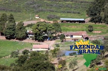 Fazenda em Cambuquira/MG com 115,26 hectares: Café, Gado para Corte, Leite.