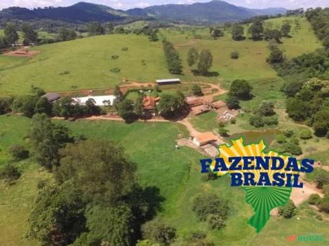 Fazenda em Cambuquira/MG com 115,26 hectares: Café, Gado para Corte, Leite.