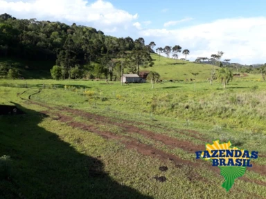 Sítio 100,00 HA em Ponte Alta- SC!