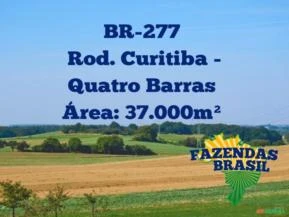 Área com aprox. 37.000,00m² na Br 277 PR!