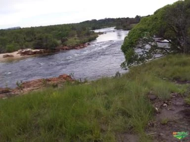 Fazenda pronta para 1200 vacas (cria) com capim nativo. Boa de água, na beira do Rio Novo.