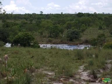 Fazenda pronta para 1200 vacas (cria) com capim nativo. Boa de água, na beira do Rio Novo.