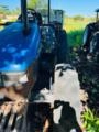 TRATOR NEW HOLLAND TL 70 4X4 ANO 02 Imagem TRATOR NEW HOLLAND TL 70 4X4 ANO 02