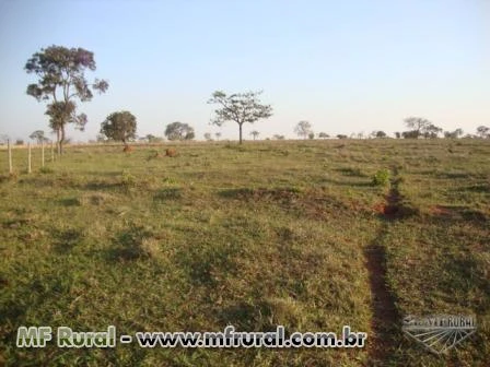 Ótimo Sítio em Uberlândia, 45 km da cidade