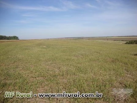 Fazenda em soja a mais de 15 anos. Ótima localização