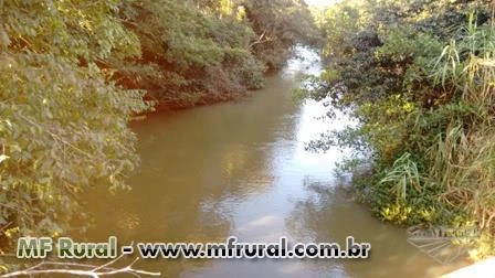 Sítio montado em Monte Alegre, imperdível