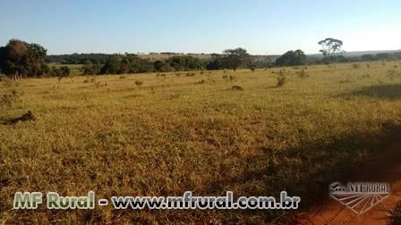 Sítio montado em Monte Alegre, imperdível