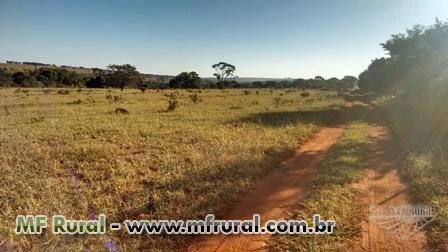 Sítio montado em Monte Alegre, imperdível