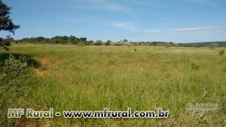 Fazenda em Uberlândia, imperdível, apenas R$13.450,00/hectare