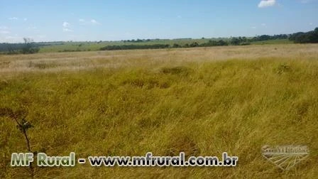 Fazenda em Uberlândia, imperdível, apenas R$13.450,00/hectare