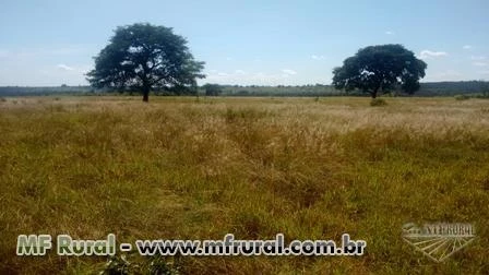 Fazenda em Uberlândia, imperdível, apenas R$13.450,00/hectare