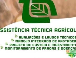 Assistência técnica agrícola