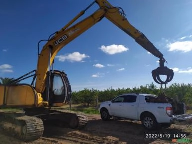 Garra florestal Imagem Garra florestal