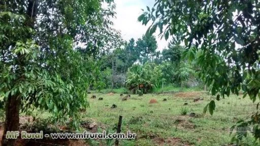 SITIO FORMADO EM ATIBAIA DIVISA COM JARINU