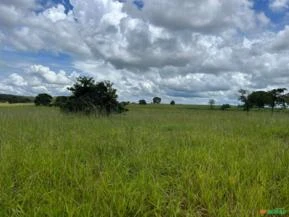 Fazenda de 60 alqueires a venda em Campina Verde-Mg