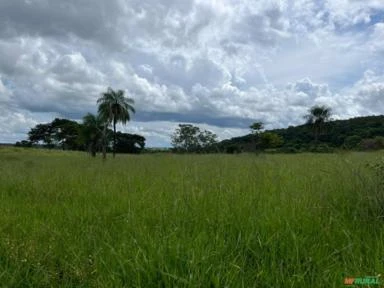 Fazenda de 60 alqueires a venda em Campina Verde-Mg