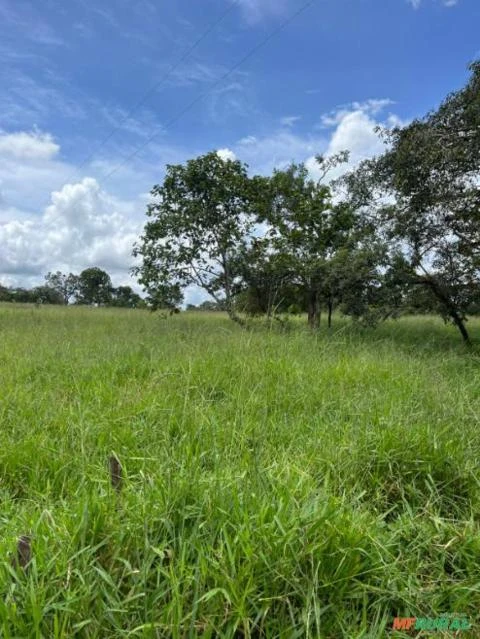 Fazenda de 60 alqueires a venda em Campina Verde-Mg