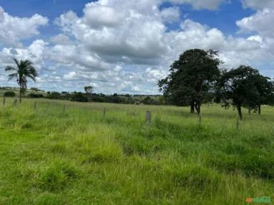 Fazenda de 60 alqueires a venda em Campina Verde-Mg