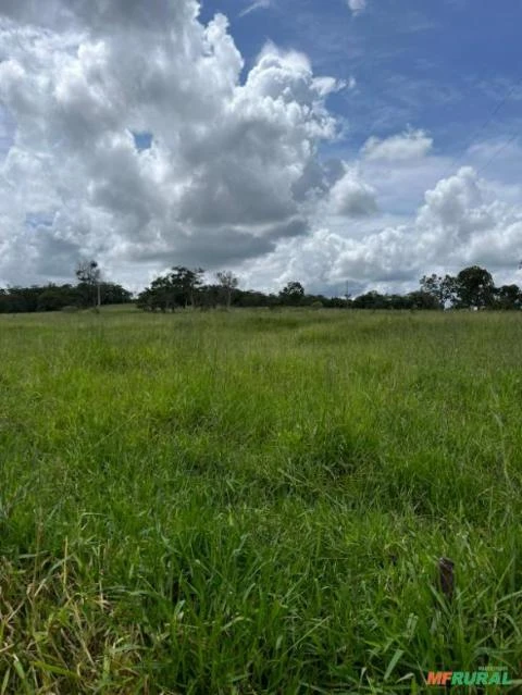 Fazenda a venda em Campina Verde Mg