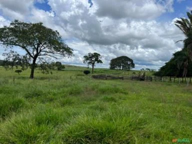 Fazenda a venda em Campina Verde Mg