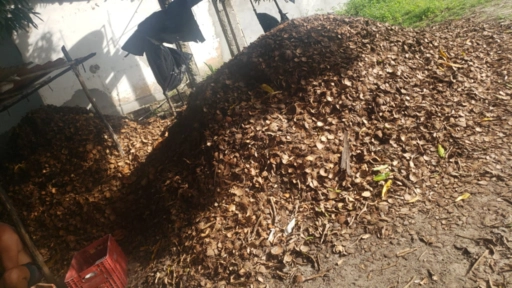 Imagem CASCA DE COCO SECO ( QUENGA ) Imagem CASCA DE COCO SECO ( QUENGA )