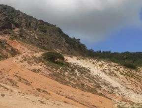 Areia de Sílica com 99,8%