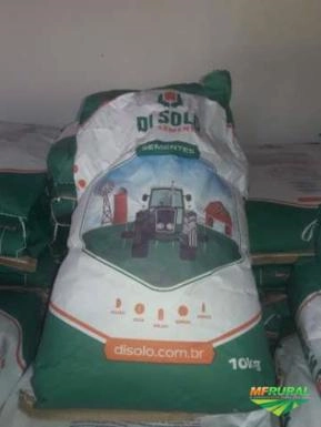 Semente de sorgo Semente de sorgo