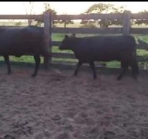 Depoimento de anúncio vendido Depoimento de anúncio vendido