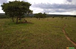 Fazenda em Caiapônia (GO) - 600 hectares