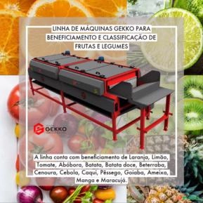 MAQUINAS PARA BENEFICIAMENTO DE FRUTAS E LEGUMES MAQUINAS PARA BENEFICIAMENTO DE FRUTAS E LEGUMES