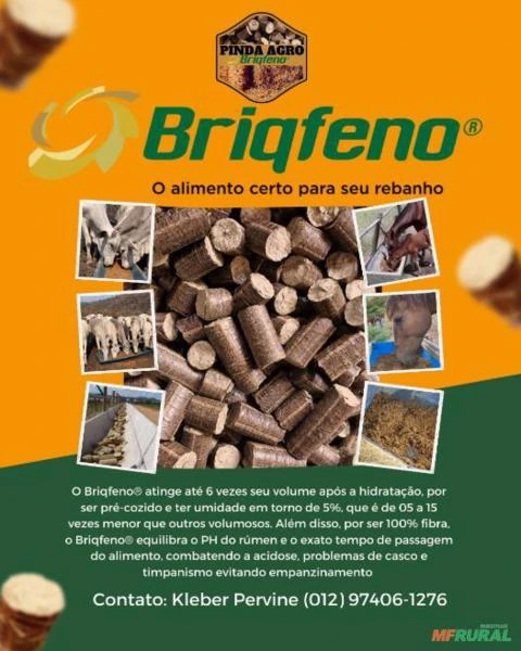 Briqfeno - Saco 40 kgs