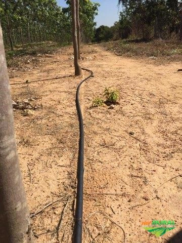 Vendo mangueiras de gotejo Imagem Vendo mangueiras de gotejo