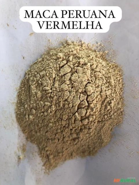 Maca Peruana Imagem Maca Peruana