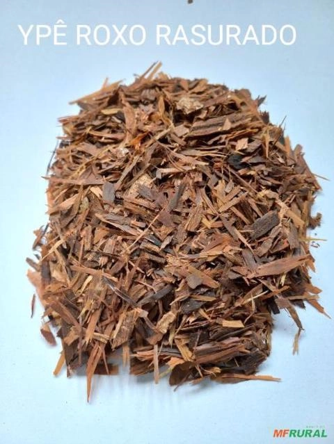 IPÊ ROXO Imagem IPÊ ROXO