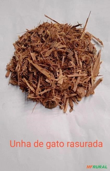 UNHA DE GATO RASURADA Imagem UNHA DE GATO RASURADA